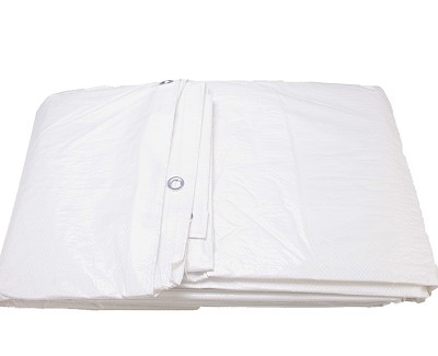Tarpaulin sheet, 400 x 600 cm, white, with eyelets, waterproof, 100, economy