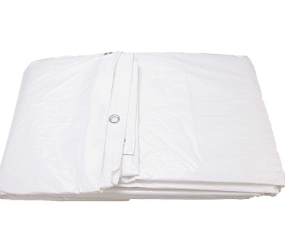 Tarpaulin sheet, 200 x 300 cm, white, with eyelets, waterproof, 100, economy