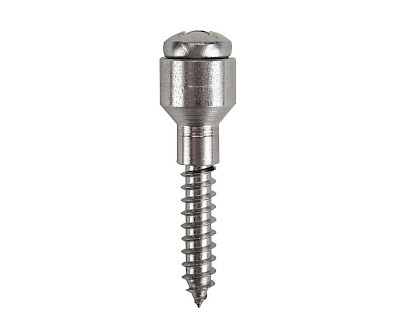 Minax self tapping screw